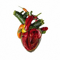 ＣＡＲＣＡＳＳ「 Ｔｏｒｎ　Ａｒｔｅｒｉｅｓ」