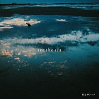 灰色ロジック「 ｓｅｅ　ｔｈｅ　ｓｅａ」