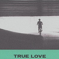 ＨＯＶＶＤＹ「 ＴＲＵＥ　ＬＯＶＥ」