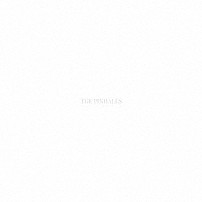 ＴＨＥ　ＰＩＮＢＡＬＬＳ 「ＺＥＲＯ　ＴＡＫＥＳ」