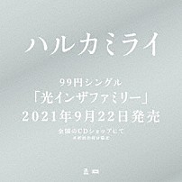 ハルカミライ 「光インザファミリー」