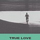 ＨＯＶＶＤＹ「ＴＲＵＥ　ＬＯＶＥ」