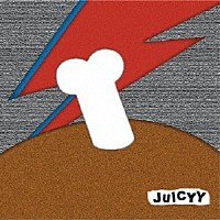 ＰＩＧＧＳ「 ＪＵＩＣＹＹ」