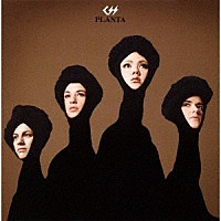 カンセイ・ジ・セール・セクシー「 プランタ」