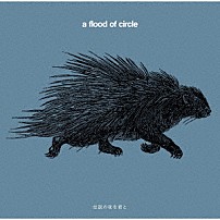 ａ　ｆｌｏｏｄ　ｏｆ　ｃｉｒｃｌｅ 「伝説の夜を君と」