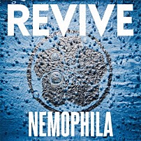 ＮＥＭＯＰＨＩＬＡ 「ＲＥＶＩＶＥ」