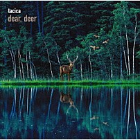 ｔａｃｉｃａ 「ＢＥＳＴ　ＡＬＢＵＭ　ｄｅａｒ，　ｄｅｅｒ」