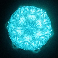 リーガルリリー 「Ｃとし生けるもの」