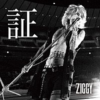 ＺＩＧＧＹ「 証」
