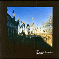 ザ・シネマティック・オーケストラ「 マ・フラー」