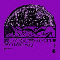 ＢｉＳＨ「 愛してると言ってくれ」