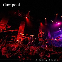 ｆｌｕｍｐｏｏｌ 「Ａ　Ｓｐｒｉｎｇ　Ｂｒｅａｔｈ」