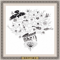 逹瑯 「非科学方程式」