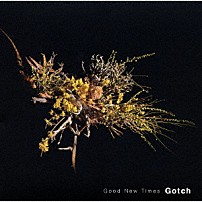 Ｇｏｔｃｈ 「Ｇｏｏｄ　Ｎｅｗ　Ｔｉｍｅｓ」