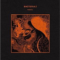 ＰＡＮＴＡ「ＢＡＣＴＥＲＩＡ　２」