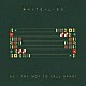ＷＨＩＴＥ　ＬＩＥＳ「ＡＳ　Ｉ　ＴＲＹ　ＮＯＴ　ＴＯ　ＦＡＬＬ　ＡＰＡＲＴ」