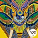 ＡＣＯＯＮ　ＨＩＢＩＮＯ「Ｂａｌｉ　ＳＰＡ　Ｏｒｇａｎｉｃ　Ｓｏｕｎｄ－Ｍａｓｔｅｒ　５２８」