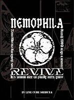 ＮＥＭＯＰＨＩＬＡ「 ＮＥＭＯＰＨＩＬＡ　ＬＩＶＥ　２０２２　－ＲＥＶＩＶＥ　～Ｉｔ’ｓ　ｓｏｏｏｏｏ　ｎｉｃｅ　ｔｏ　ｆｉｎａｌｌｙ　ｍｅｅｔ　ｙｏｕ！！！！！～－」