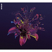 ＴＨＥ　ＢＡＣＫ　ＨＯＲＮ 「アントロギア」