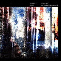 藤田千章「ｕｎ－ｃａｔｅｇｏｒｉｚｅｄ　［Ｄｅｆａｕｌｔ］」