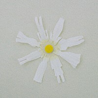 ｗａｃｃｉ「 恋だろ／僕らの一歩」