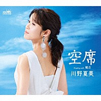 川野夏美　ミュージックビデオコレクション [DVD]