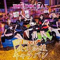 ＨＯＴ　ＤＯＧ　ＣＡＴ 「全力応援キャラバン」