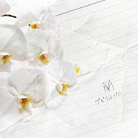 プピリットパロ「 蘭」