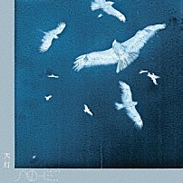 ｓａｊｏｕ　ｎｏ　ｈａｎａ 「天灯」