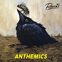 Ｔｈｅ　Ｒａｖｅｎｓ 「ＡＮＴＨＥＭＩＣＳ」
