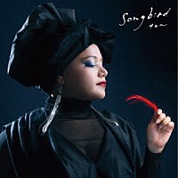 ｔｅａ「 Ｓｏｎｇｂｉｒｄ」