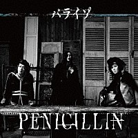 ＰＥＮＩＣＩＬＬＩＮ「 パライゾ」