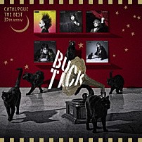 ＢＵＣＫ－ＴＩＣＫ 「ＣＡＴＡＬＯＧＵＥ　ＴＨＥ　ＢＥＳＴ　３５ｔｈ　ａｎｎｉｖ．」