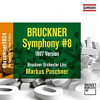 （クラシック）「 ブルックナー：交響曲第８番　ハ短調（第１稿／ホークショー版）」