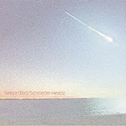 Ｓｃｈｒｏｅｄｅｒ－Ｈｅａｄｚ「Ｓｌｅｅｐｉｎ’　Ｂｉｒｄ」