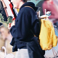 ｐｕｇｇｓ「 パグスの中毒」