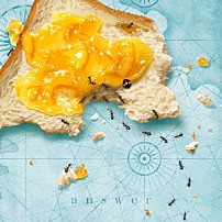 おいしくるメロンパン 「ａｎｓｗｅｒ」