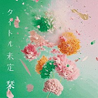 タイトル未定 「栞」