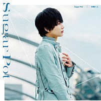 砂糖くん 「Ｓｕｇａｒ　Ｐｏｔ」