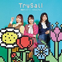 ＴｒｙＳａｉｌ「 華麗ワンターン／Ｆｏｌｌｏｗ　Ｙｏｕ！」