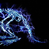 ＳＵＰＥＲ　ＢＥＡＶＥＲ「 儚くない」