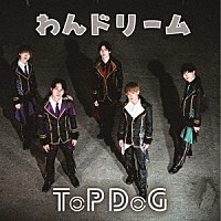 ＴｏＰ　ＤｏＧ「 わんドリーム」