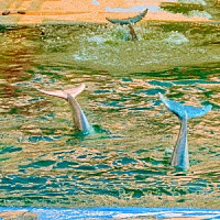 空間現代「 ＴＲＡＣＫＳ」