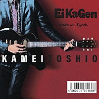 ＫＡＭＥＩ　ＴＯＳＨＩＯ「 えぃかげん」