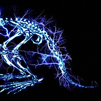 ＳＵＰＥＲ　ＢＥＡＶＥＲ 「儚くない」