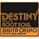 ＳＨＵＹＡ　ＯＫＩＮＯ「ＤＥＳＴＩＮＹ　ｒｅｐｌａｙｅｄ　ｂｙ　ＲＯＯＴ　ＳＯＵＬ」