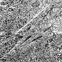 セイ・シー・シー「 シルヴァー」