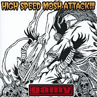 ｇａｍｙ「 ＨＩＧＨ　ＳＰＥＥＤ　ＭＯＳＨ　ＡＴＴＡＣＫ！！！」