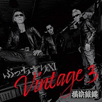 Ｔ．Ｃ．Ｒ．横浜銀蝿Ｒ．Ｓ． 「ぶっちぎりⅩⅠ　Ｖｉｎｔａｇｅ　３」