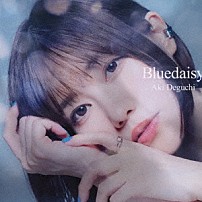 出口陽 「Ｂｌｕｅｄａｉｓｙ」